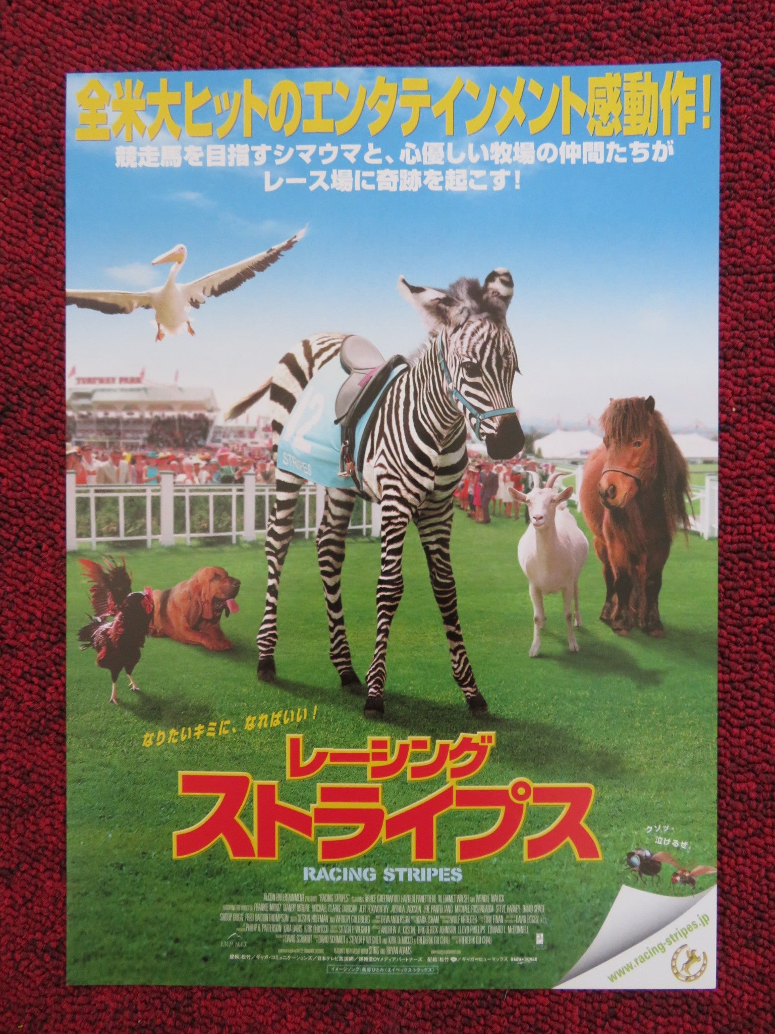 racing stripes movie poster