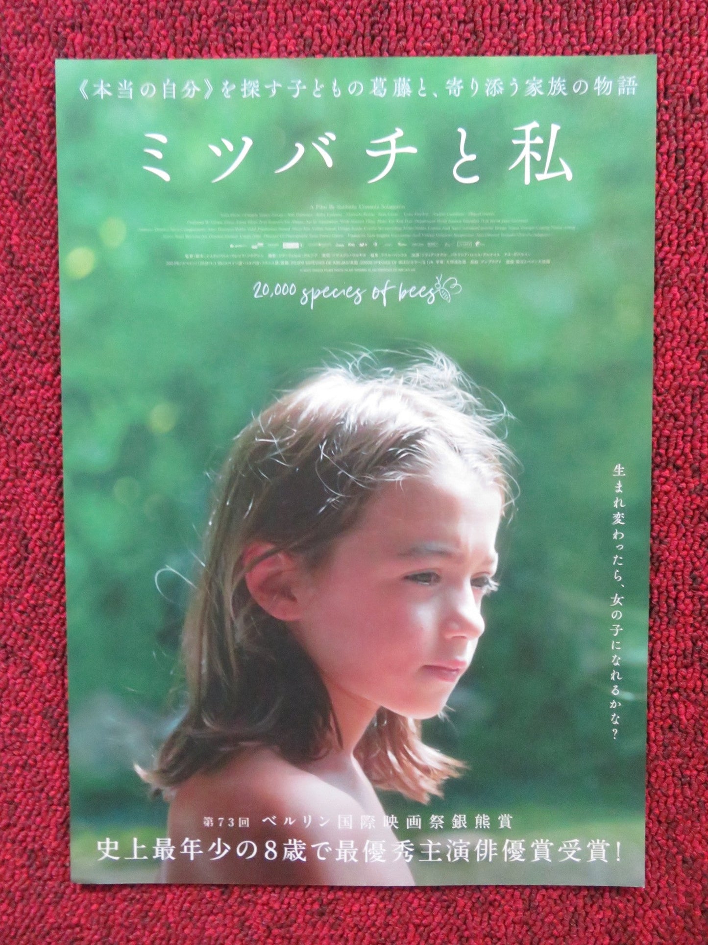 20,000 SPECIES OF BEES JAPANESE CHIRASHI (B5) POSTER SOFIA OTERO LOPEZ 2023 - Rendezvous Cinema