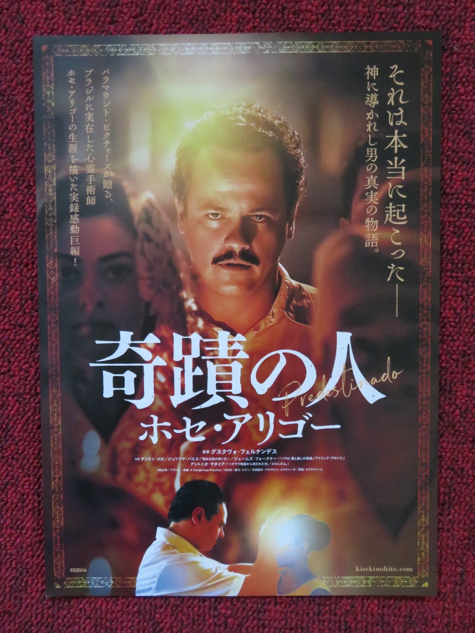 A DANGEROUS PRACTICE JAPANESE CHIRASHI (B5) POSTER JAMES FAULKNER J. PAES 2022 - Rendezvous Cinema