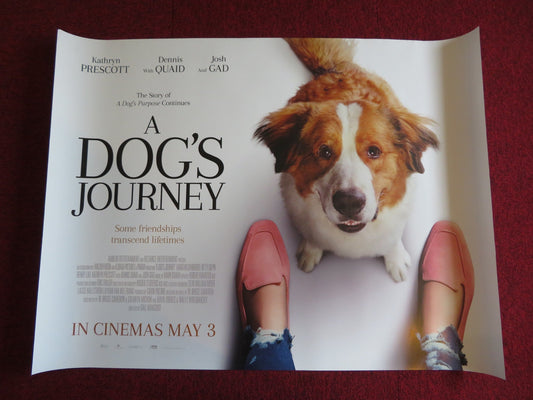 A DOG'S JOURNEY UK QUAD (30"x 40") ROLLED POSTER DENNIS QUAID JOSH GAD 2019 - Rendezvous Cinema