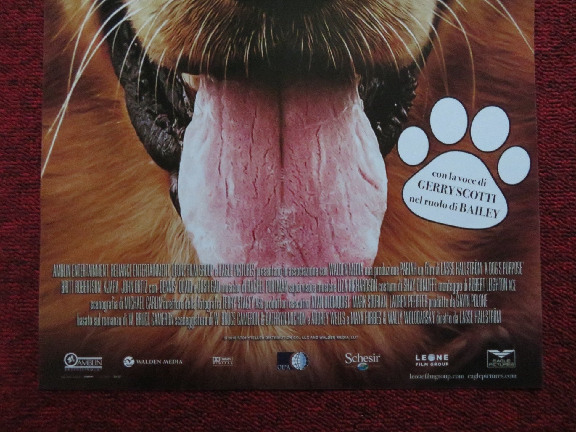 A DOG'S PURPOSE ITALIAN LOCANDINA POSTER JOSH GAD DENNIS QUAID 2017 - Rendezvous Cinema