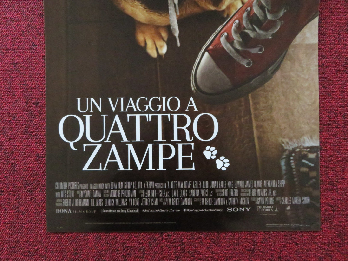 A DOG'S WAY HOME ITALIAN LOCANDINA POSTER ASHLEY JUDD JONAH HAUER - KING 2019 - Rendezvous Cinema