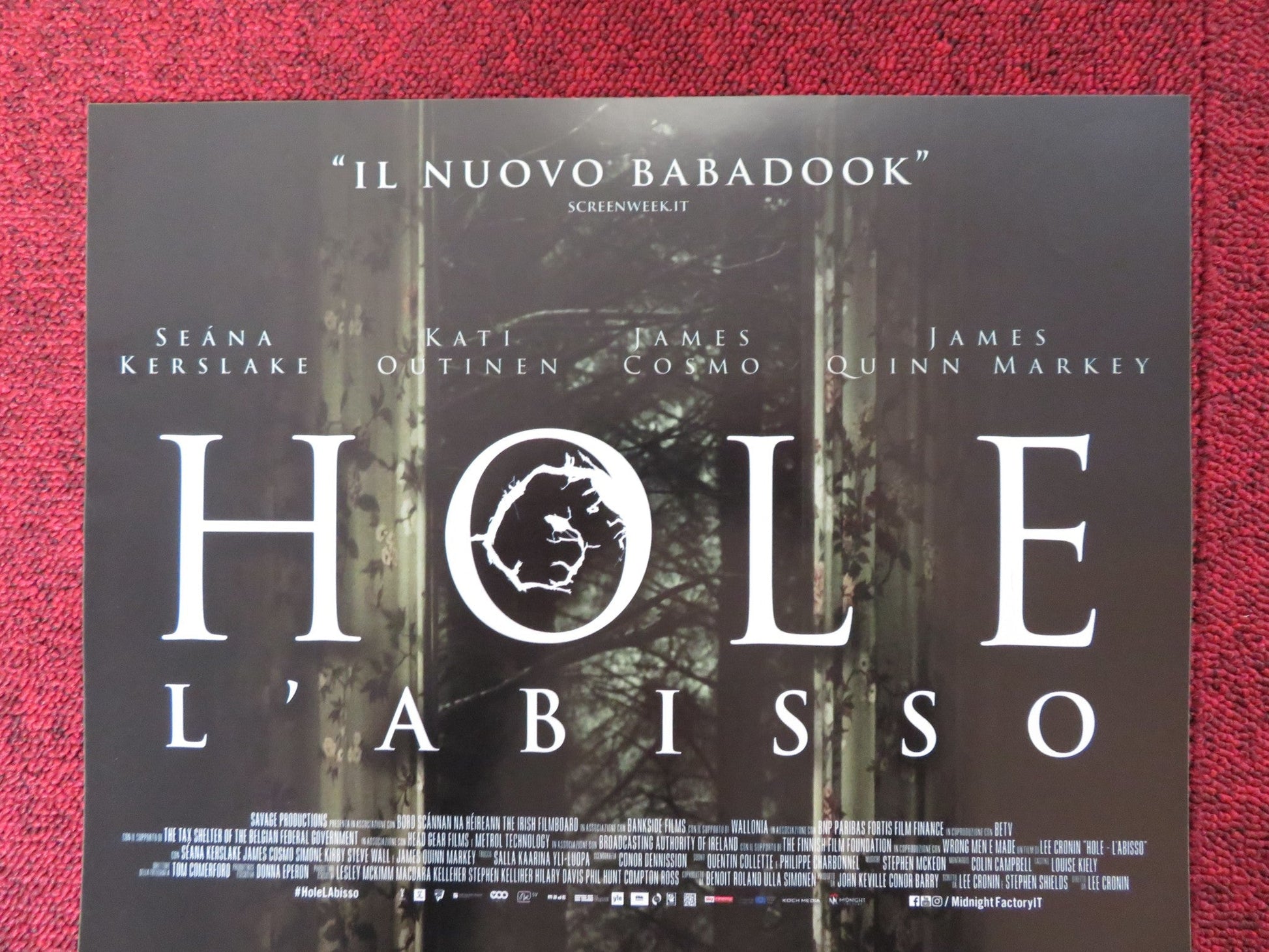 A HOLE IN THE GROUND ITALIAN LOCANDINA POSTER SEANA KERSLAKE QUINN MARKEY 2019 - Rendezvous Cinema