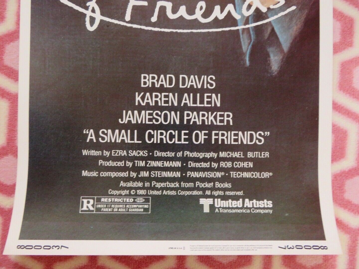 A SMALL CIRCLE OF FRIENDS US INSERT (14"x 36") POSTER BRAD DAVIS KAREN ALLEN '80 - Rendezvous Cinema