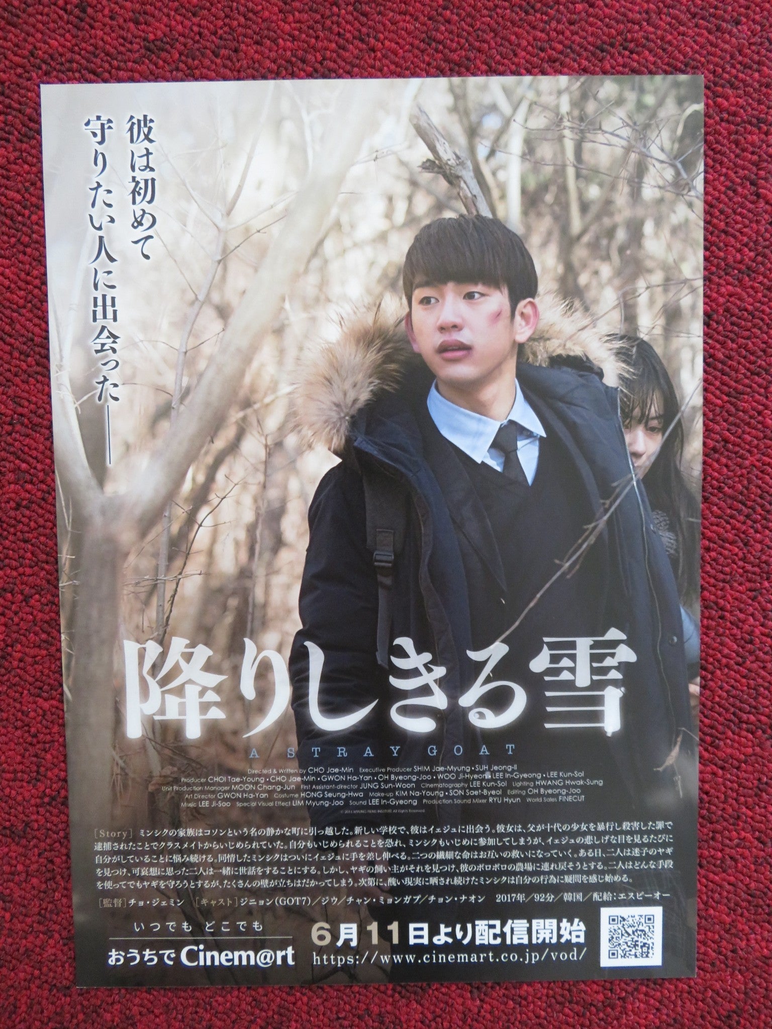 A STRAY GOAT JAPANESE CHIRASHI (B5) POSTER JAE MIN JO 2017 - Rendezvous Cinema