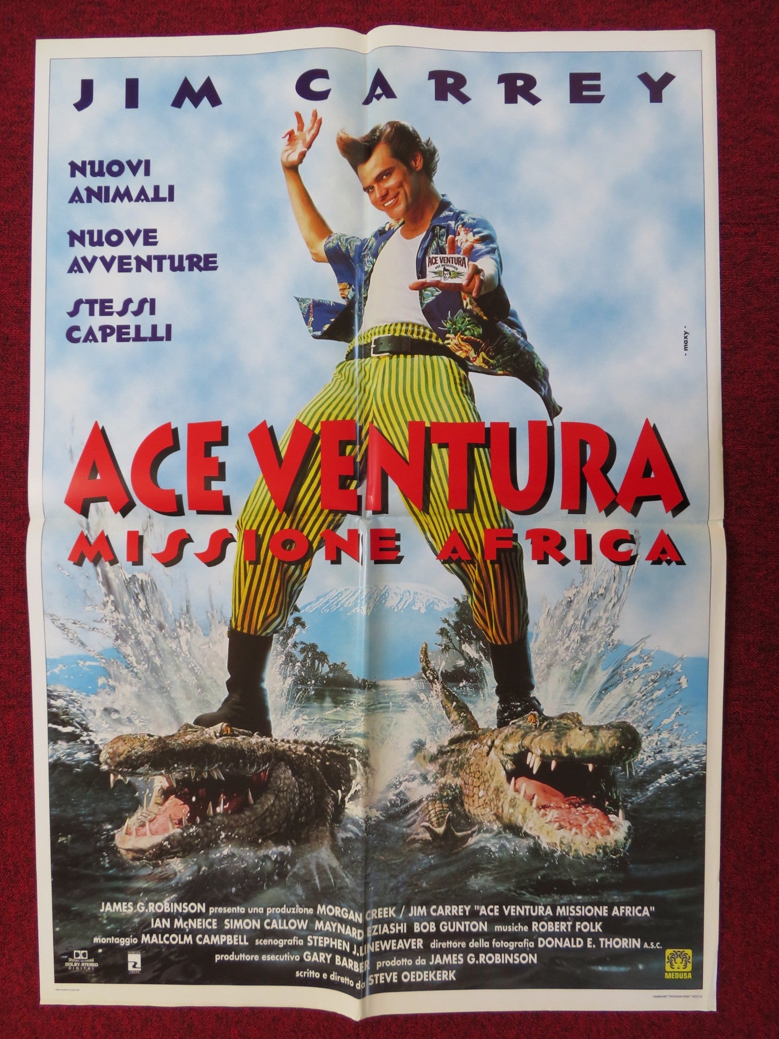 ACE VENTURA: WHEN NATURE CALLS ITALIAN FOGLIO POSTER JIM CARREY IAN MCNEICE 1995 - Rendezvous Cinema