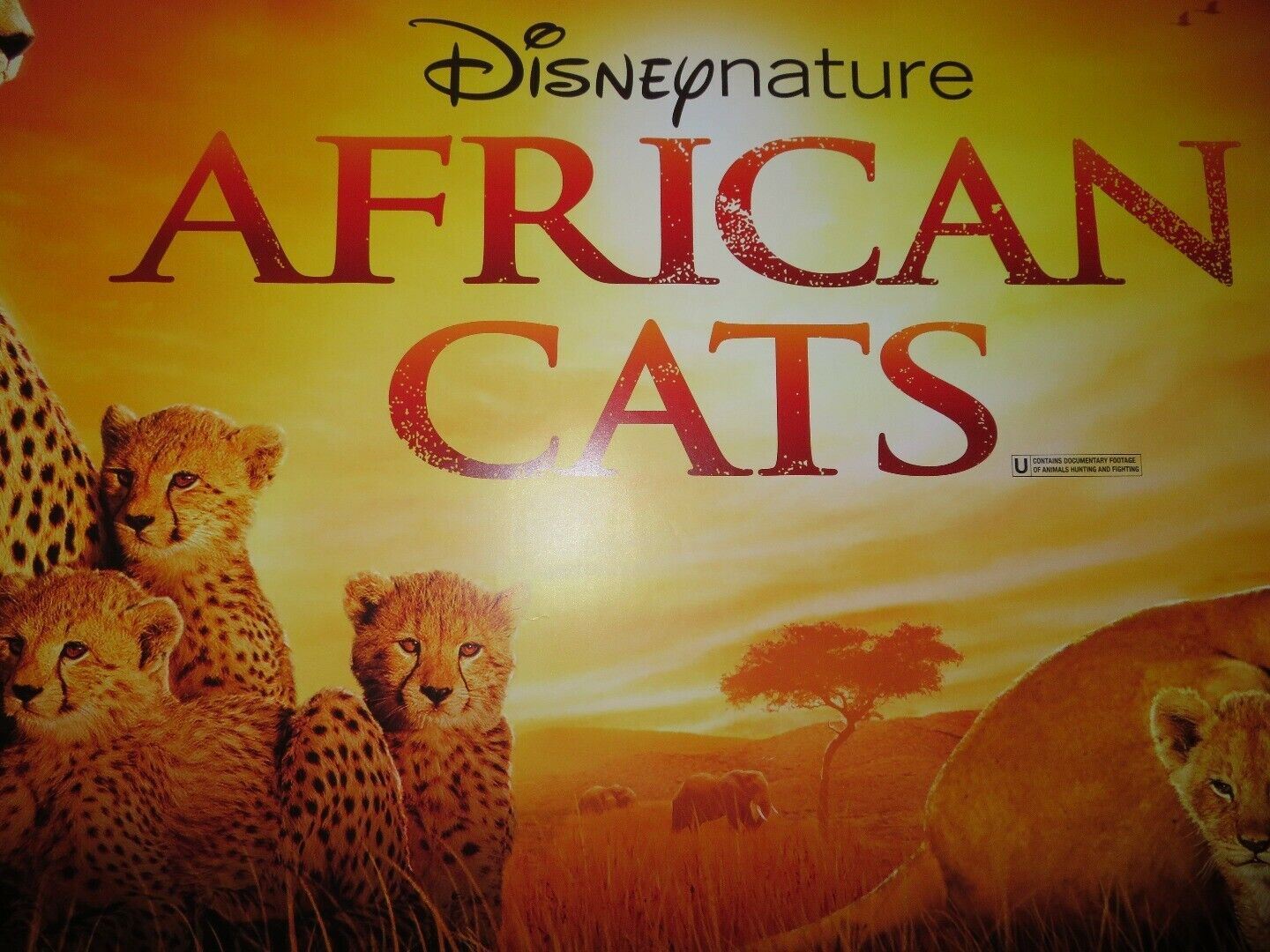 AFRICAN CATS QUAD (30"x 40") ROLLED POSTER DISNEY NATURE BIG CAT PRODUCTION 2011 - Rendezvous Cinema