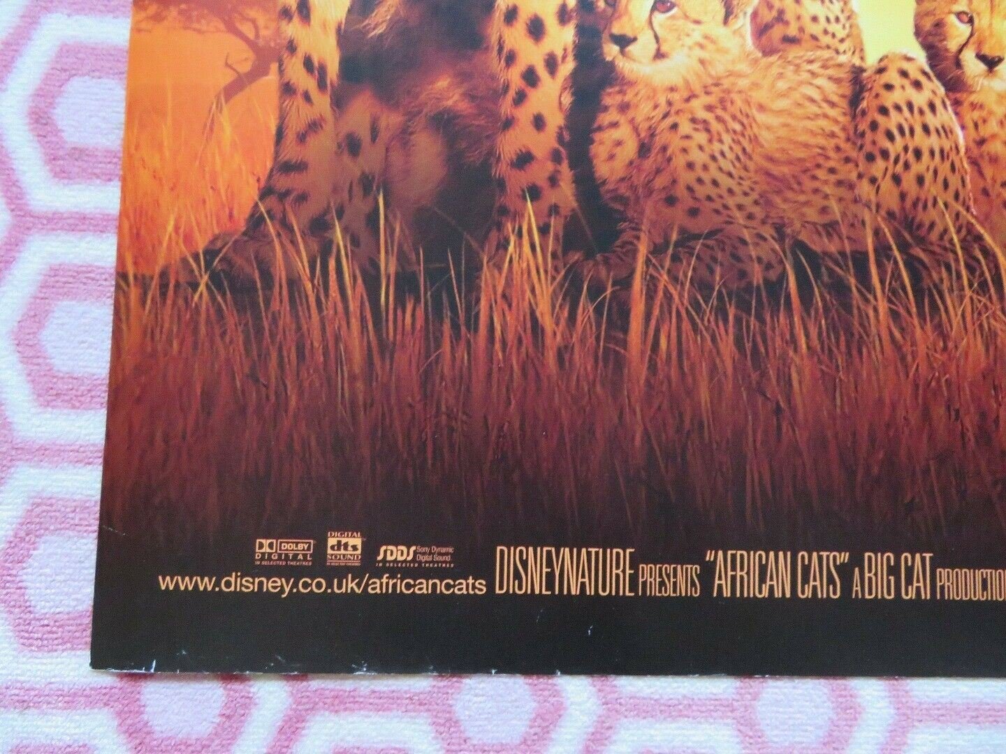 AFRICAN CATS QUAD (30"x 40") ROLLED POSTER DISNEY NATURE BIG CAT PRODUCTION 2011 - Rendezvous Cinema