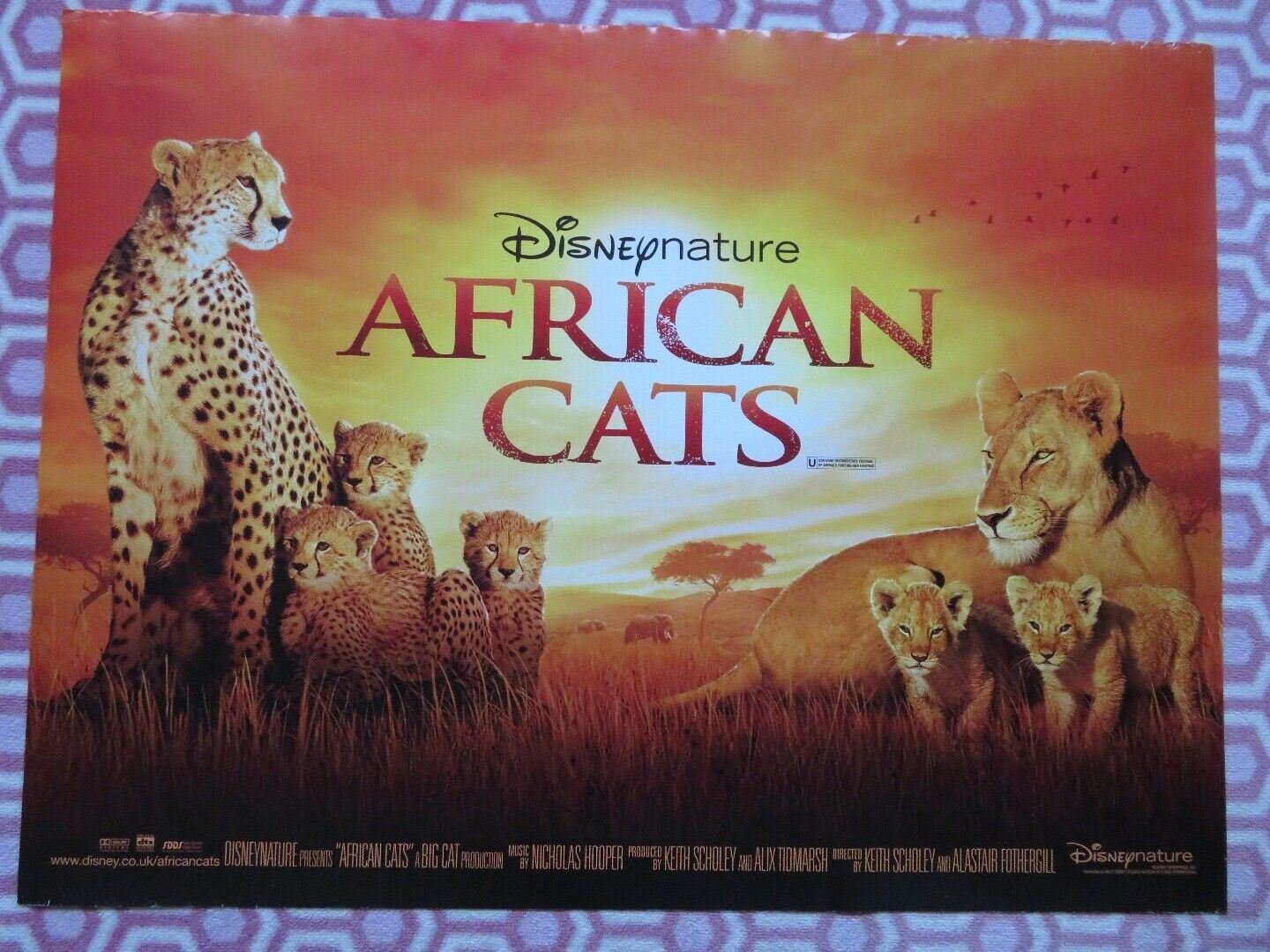 AFRICAN CATS QUAD (30"x 40") ROLLED POSTER DISNEY NATURE BIG CAT PRODUCTION 2011 - Rendezvous Cinema