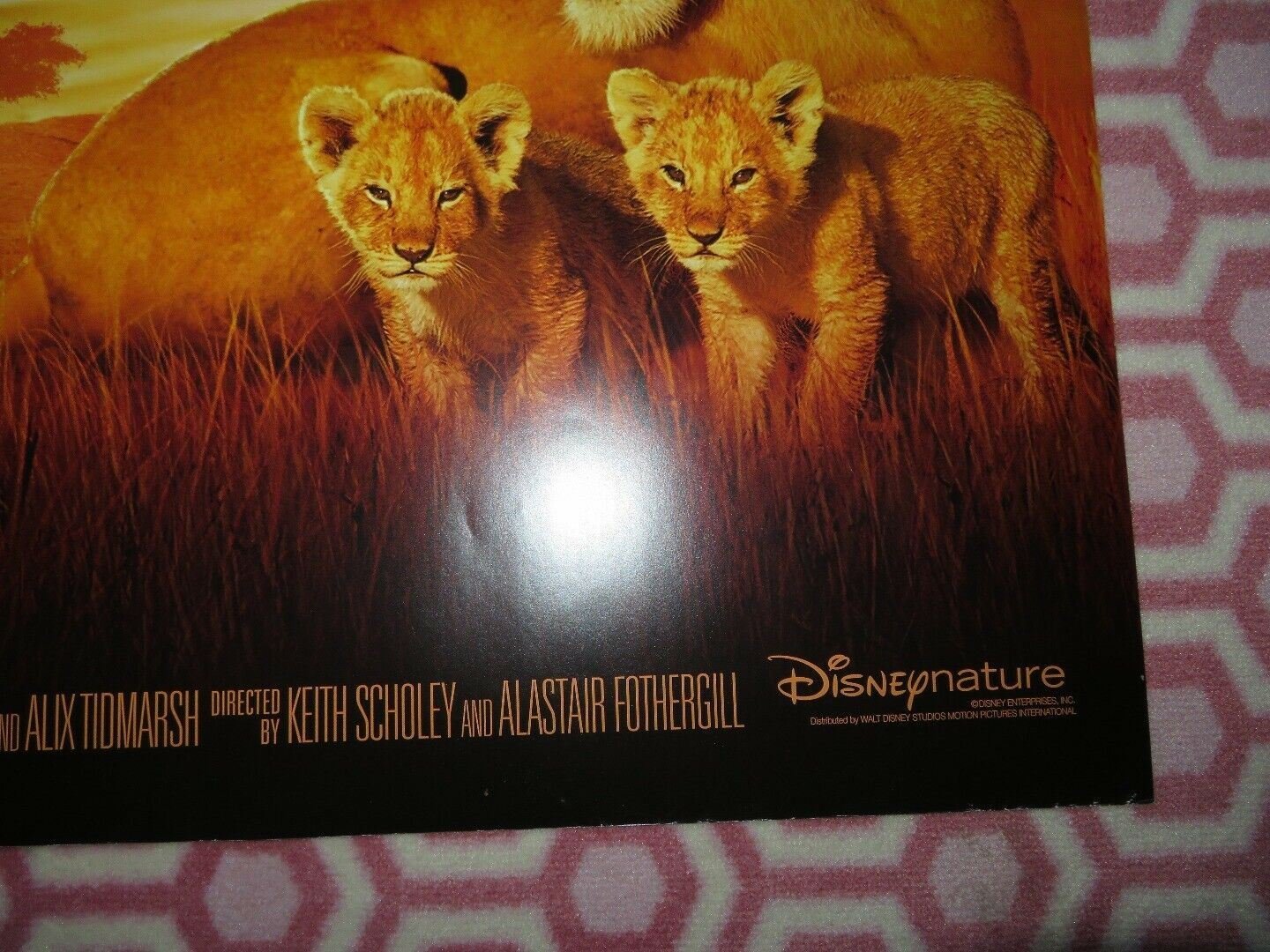 AFRICAN CATS QUAD (30"x 40") ROLLED POSTER DISNEY NATURE BIG CAT PRODUCTION 2011 - Rendezvous Cinema