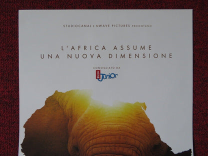 AFRICAN SAFARI 3D ITALIAN LOCANDINA (26.5"x12.5") POSTER BEN STASSEN 2013 - Rendezvous Cinema