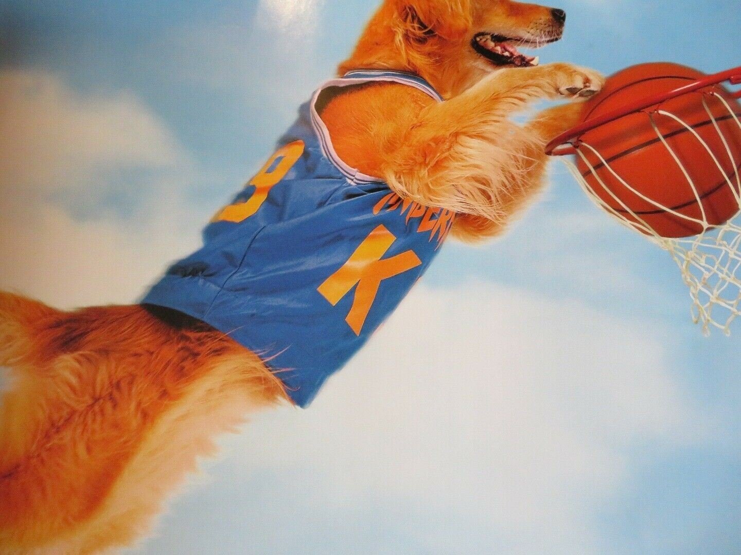 AIR BUD US ONE SHEET ROLLED POSTER DISNEY 1997 - Rendezvous Cinema