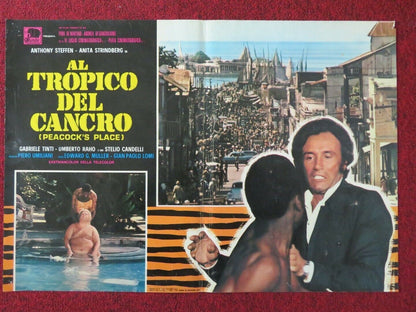 AL TROPICO DEL CANCRO / PEACOCK'S PLACE - B ITALIAN FOTOBUSTA POSTER 1972 - Rendezvous Cinema