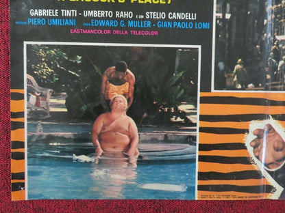 AL TROPICO DEL CANCRO / PEACOCK'S PLACE - B ITALIAN FOTOBUSTA POSTER 1972 - Rendezvous Cinema