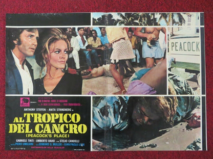 AL TROPICO DEL CANCRO / PEACOCK'S PLACE - C ITALIAN FOTOBUSTA POSTER 1972 - Rendezvous Cinema