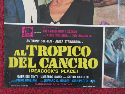 AL TROPICO DEL CANCRO / PEACOCK'S PLACE - C ITALIAN FOTOBUSTA POSTER 1972 - Rendezvous Cinema