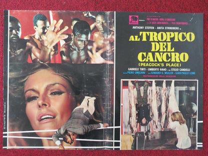 AL TROPICO DEL CANCRO / PEACOCK'S PLACE - E ITALIAN FOTOBUSTA POSTER 1972 - Rendezvous Cinema