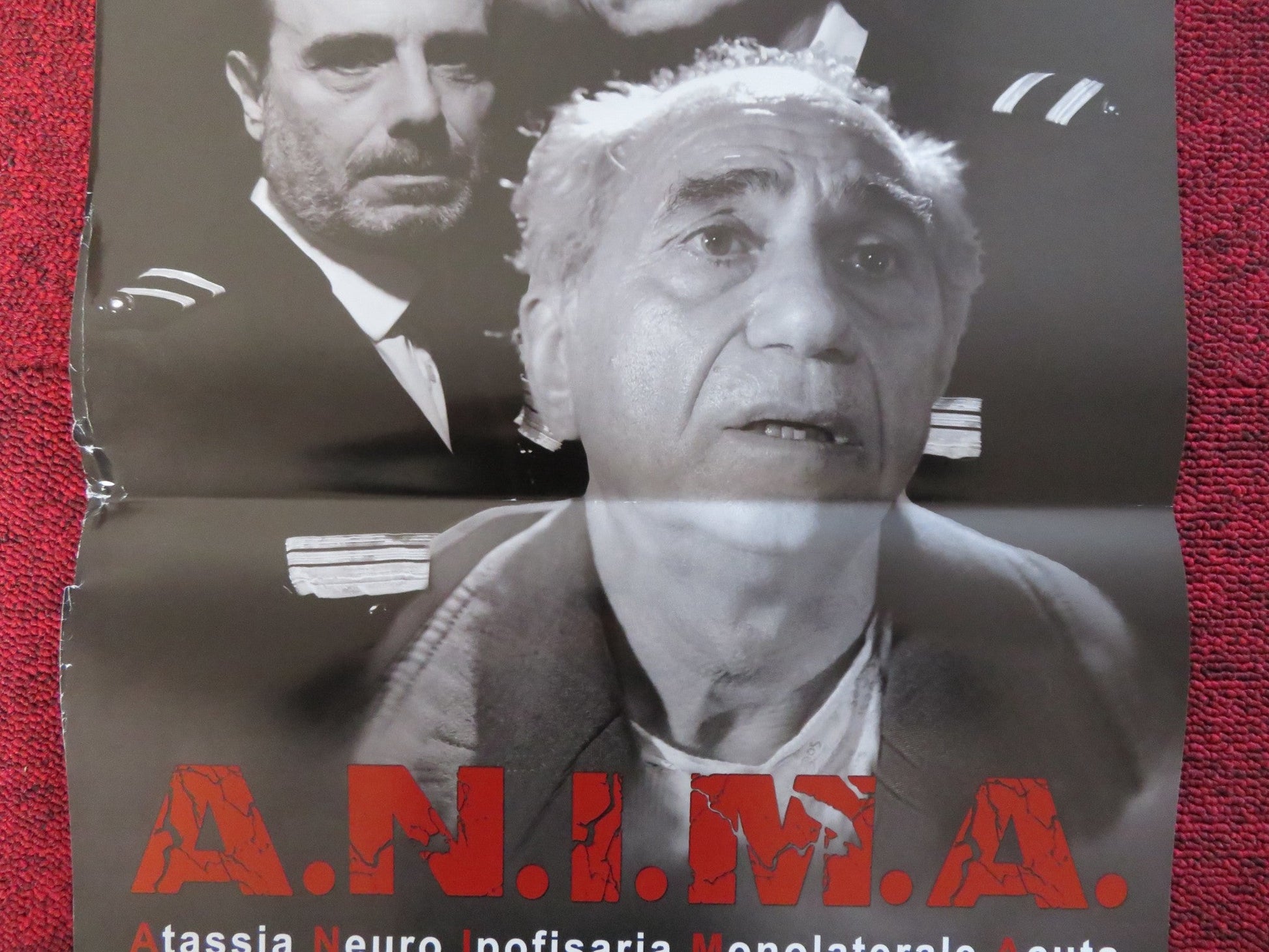 A.N.I.M.A ITALIAN LOCANDINA POSTER BRUNO BILOTTA ANDREA RONCATO 2019 - Rendezvous Cinema