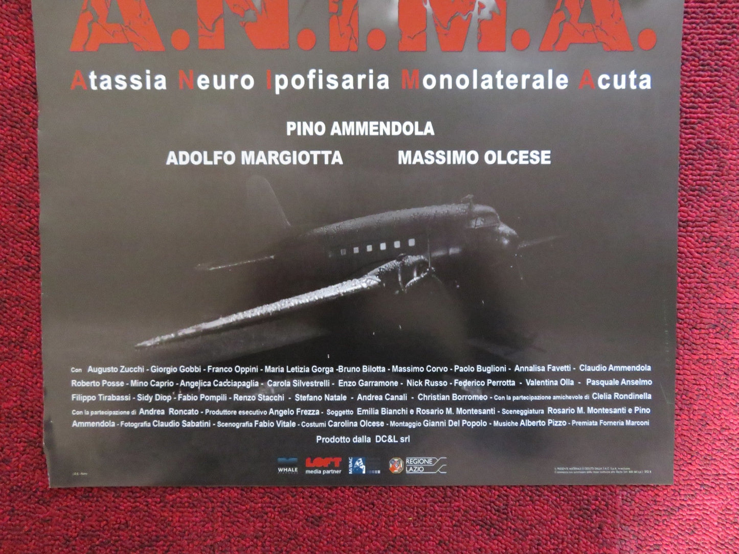 A.N.I.M.A ITALIAN LOCANDINA POSTER BRUNO BILOTTA ANDREA RONCATO 2019 - Rendezvous Cinema