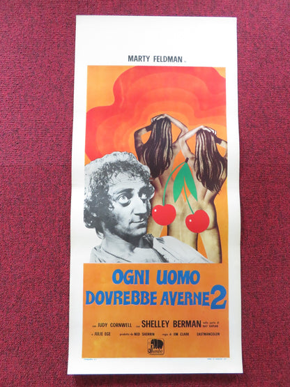 EVERY HOME SHOULD HAVE ONE ITALIAN LOCANDINA POSTER MARTY FELDMAN CORNWELL 1971