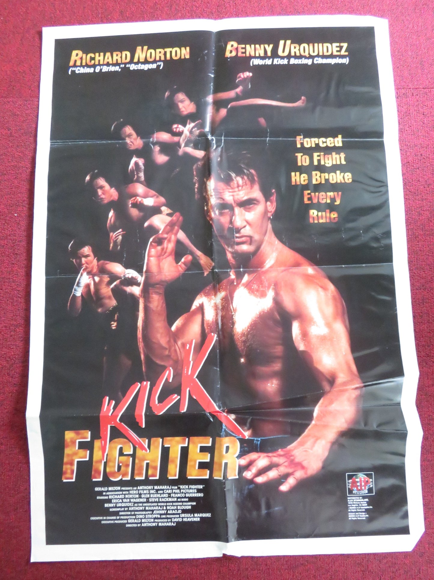 KICK FIGHTER / THE FIGHTER FOLDED US ONE SHEET POSTER RICHARD NORTON 1989