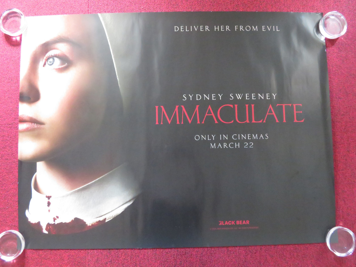 IMMACULATE UK QUAD ROLLED POSTER SYDNEY SWEENEY ALVARO MORTE 2024