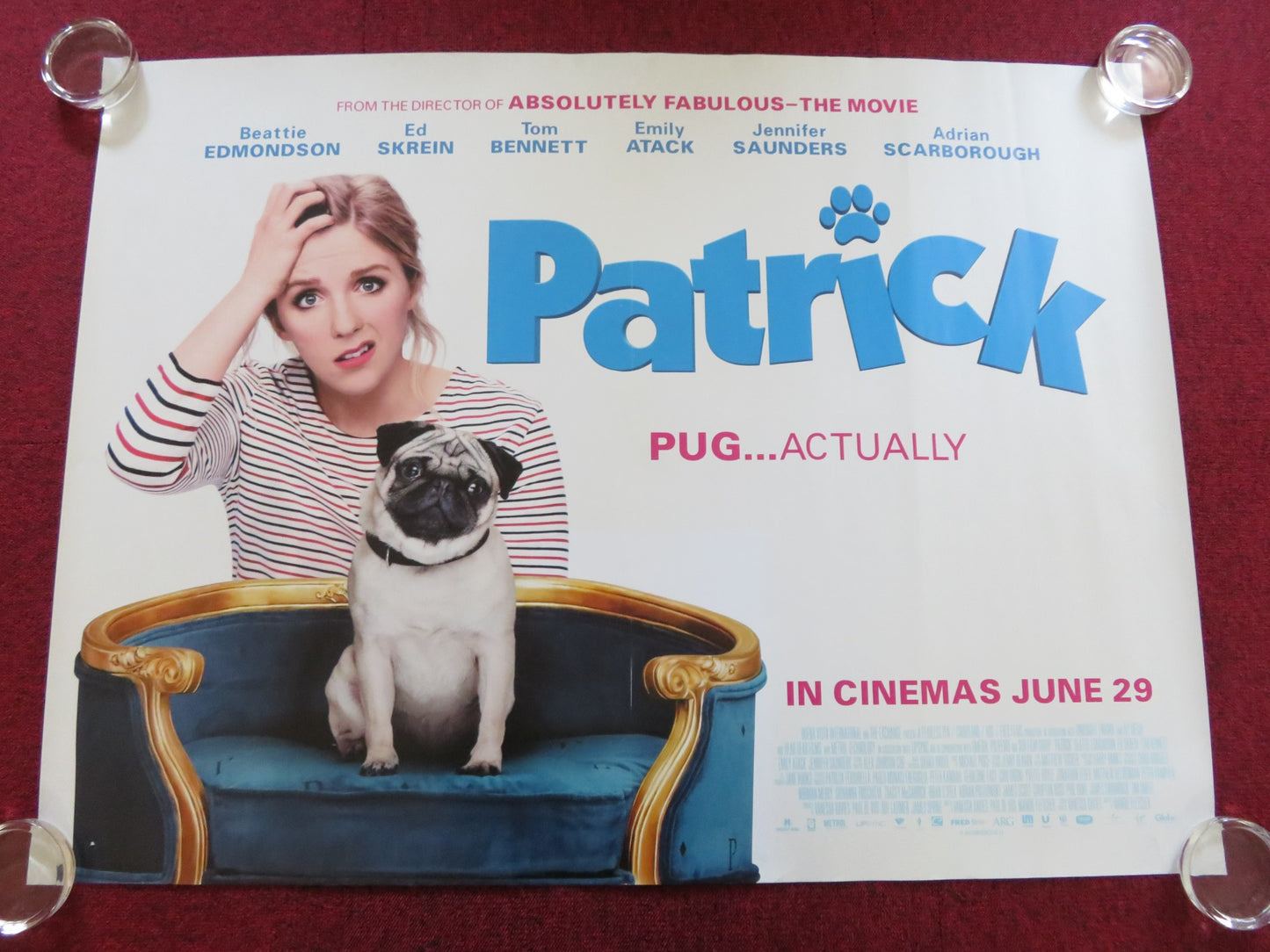 PATRICK THE PUG UK QUAD ROLLED POSTER SAM FLETCHER BEATTIE EDMONDSON 2018