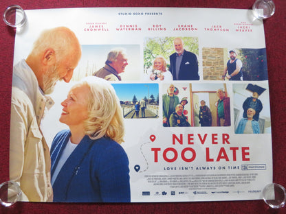 NEVER TOO LATE UK QUAD ROLLED POSTER JAMES CROMWELL DENNIS WATERMAN 2020