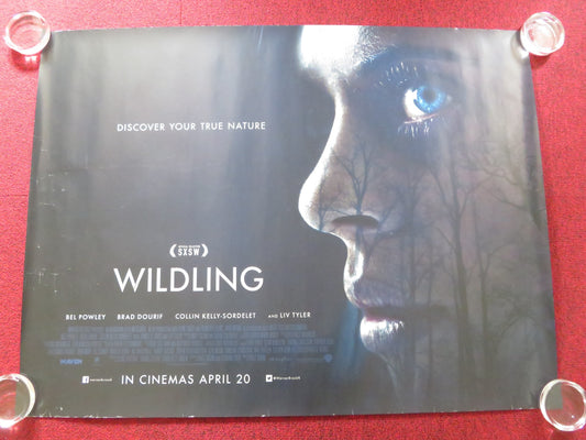 WILDLING UK QUAD ROLLED POSTER BEL POWLEY LIV TYLER 2018