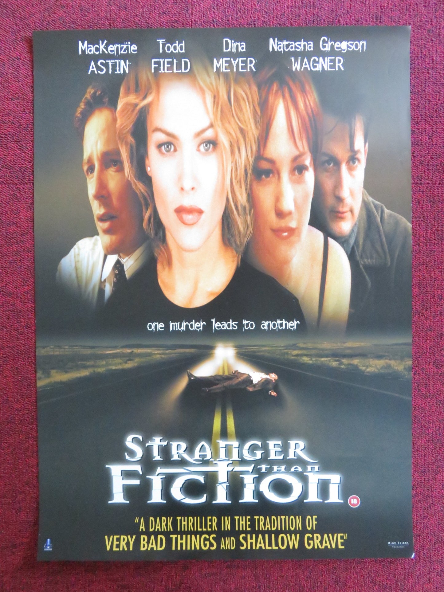 STRANGER THAN FICTION VHS VIDEO POSTER MACKENZIE ASTIN TODD FIELD 2000