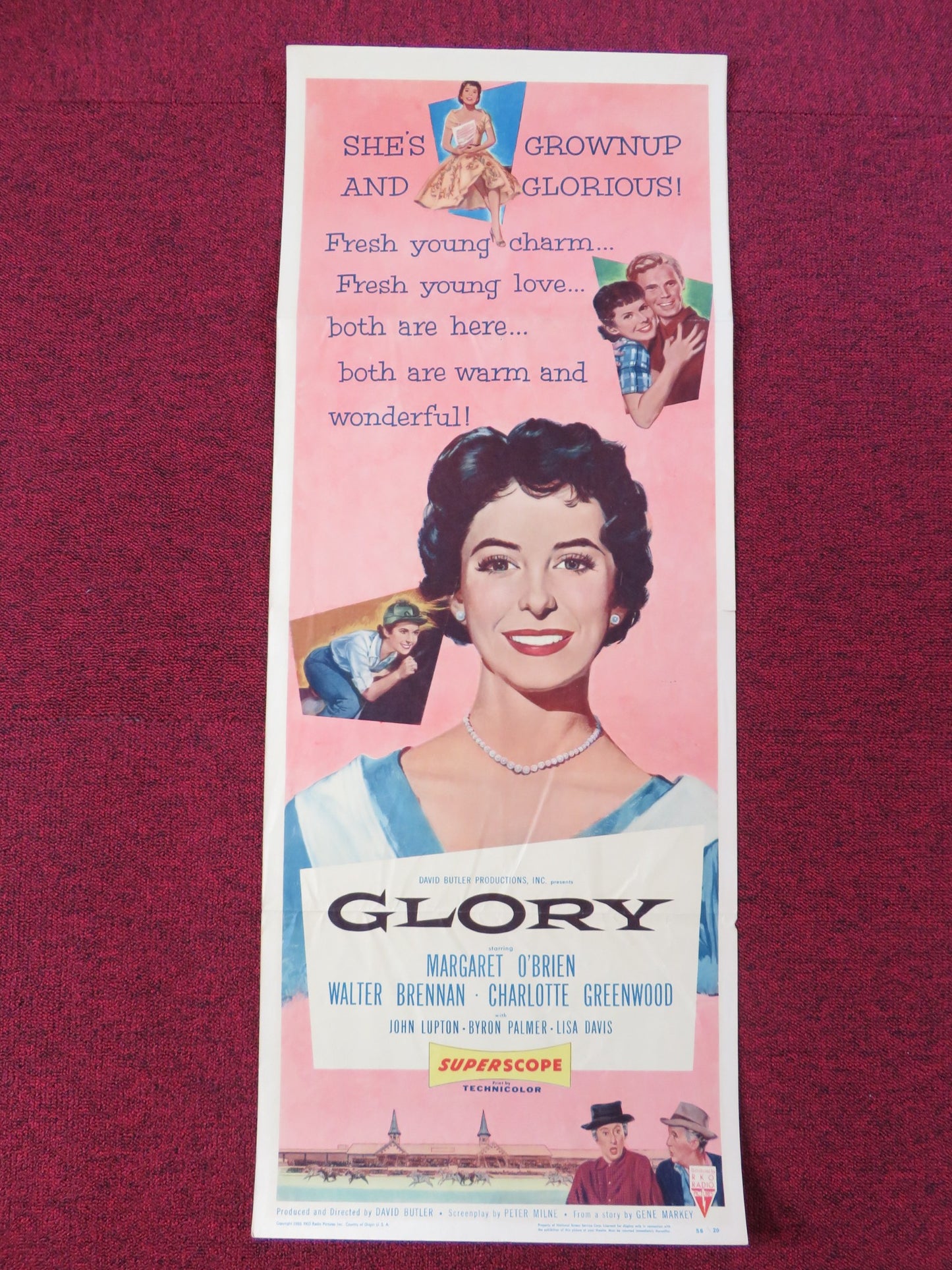 GLORY US INSERT POSTER MARGARET O'BRIEN WALTER BRENNAN 1956