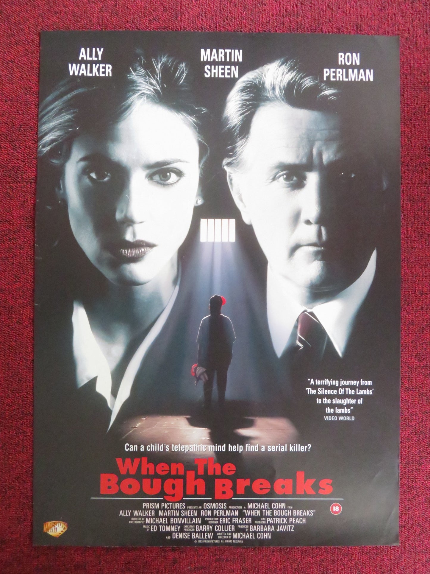 WHEN THE BOUGH BREAKS VHS VIDEO POSTER MARTIN SHEEN ALLY WALKER 1993