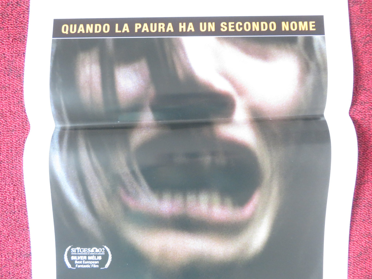 SECOND NAME ITALIAN LOCANDINA POSTER ERICA PRIOR TRAE HOULIHAN 2002