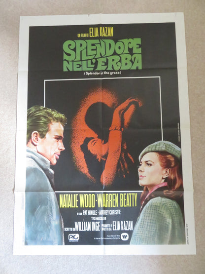 SPLENDOR IN THE GRASS ITALIAN 2 FOGLIO POSTER NATALIE WOOD PAT HINGLE R1979