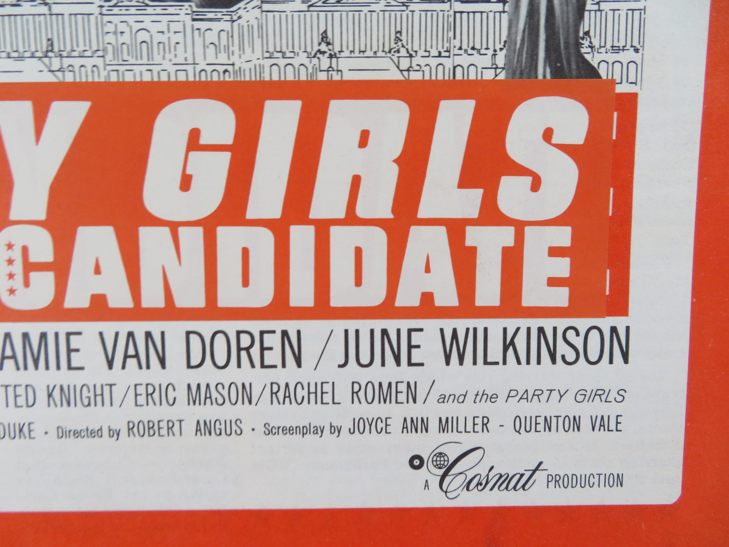 PARTY GIRLS FOR THE CANDIDATE UNCUT PRESS BOOK FOLDED MAMIE VAN DOREN 1964