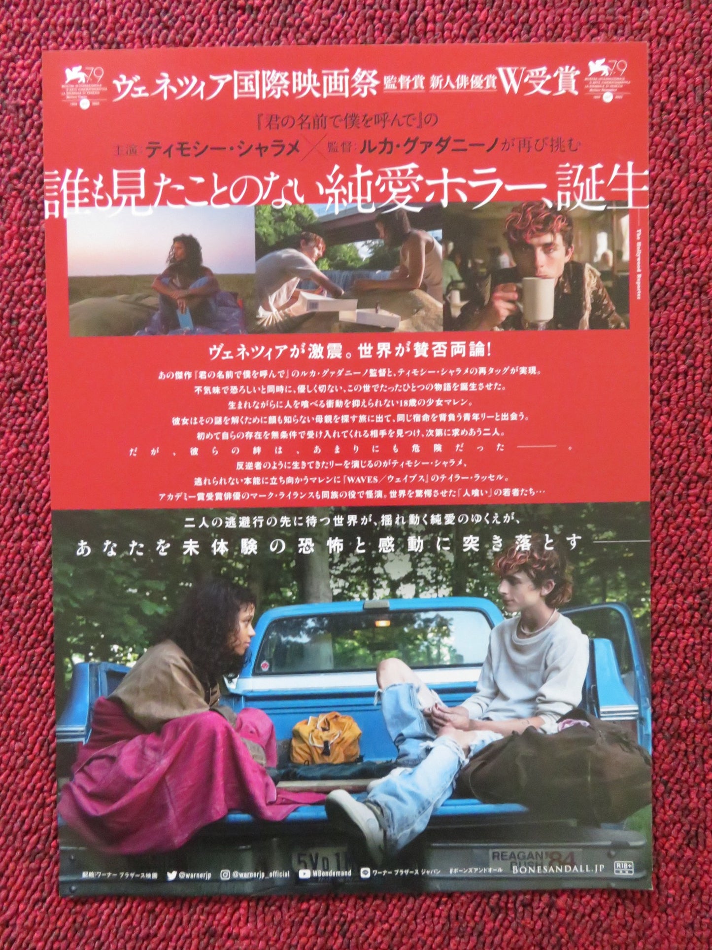 BONES AND ALL JAPANESE CHIRASHI (B5) POSTER TIMOTHEE CHALAMET RUSSELL 2022