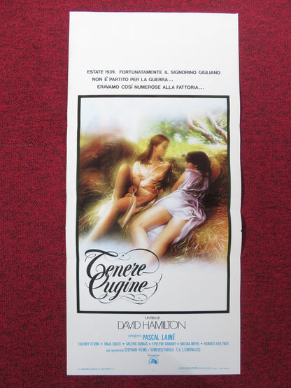 TENDER COUSINS ITALIAN LOCANDINA POSTER THEIRRY TEVINI ANJA SHUTE 1981