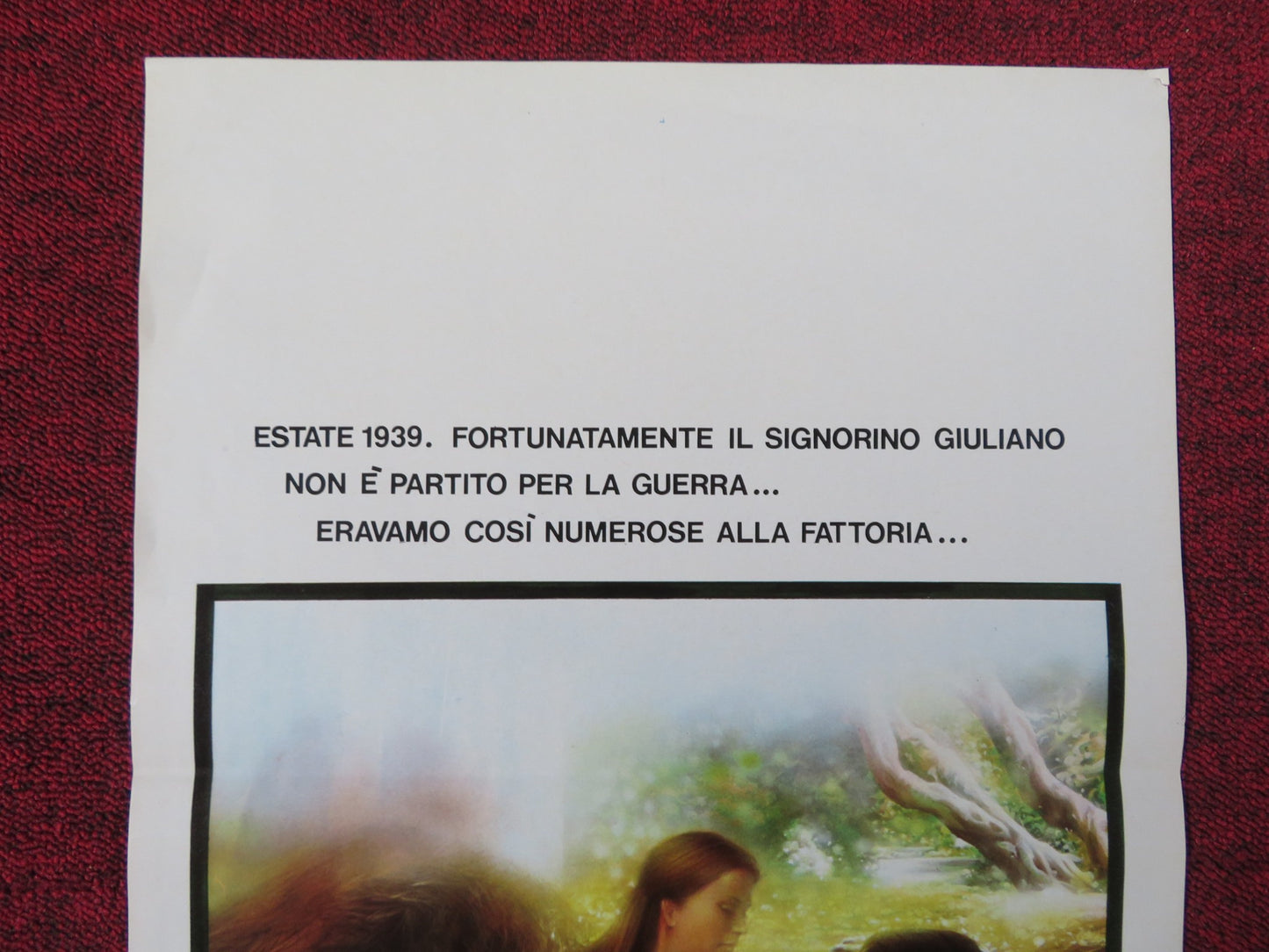 TENDER COUSINS ITALIAN LOCANDINA POSTER THEIRRY TEVINI ANJA SHUTE 1981