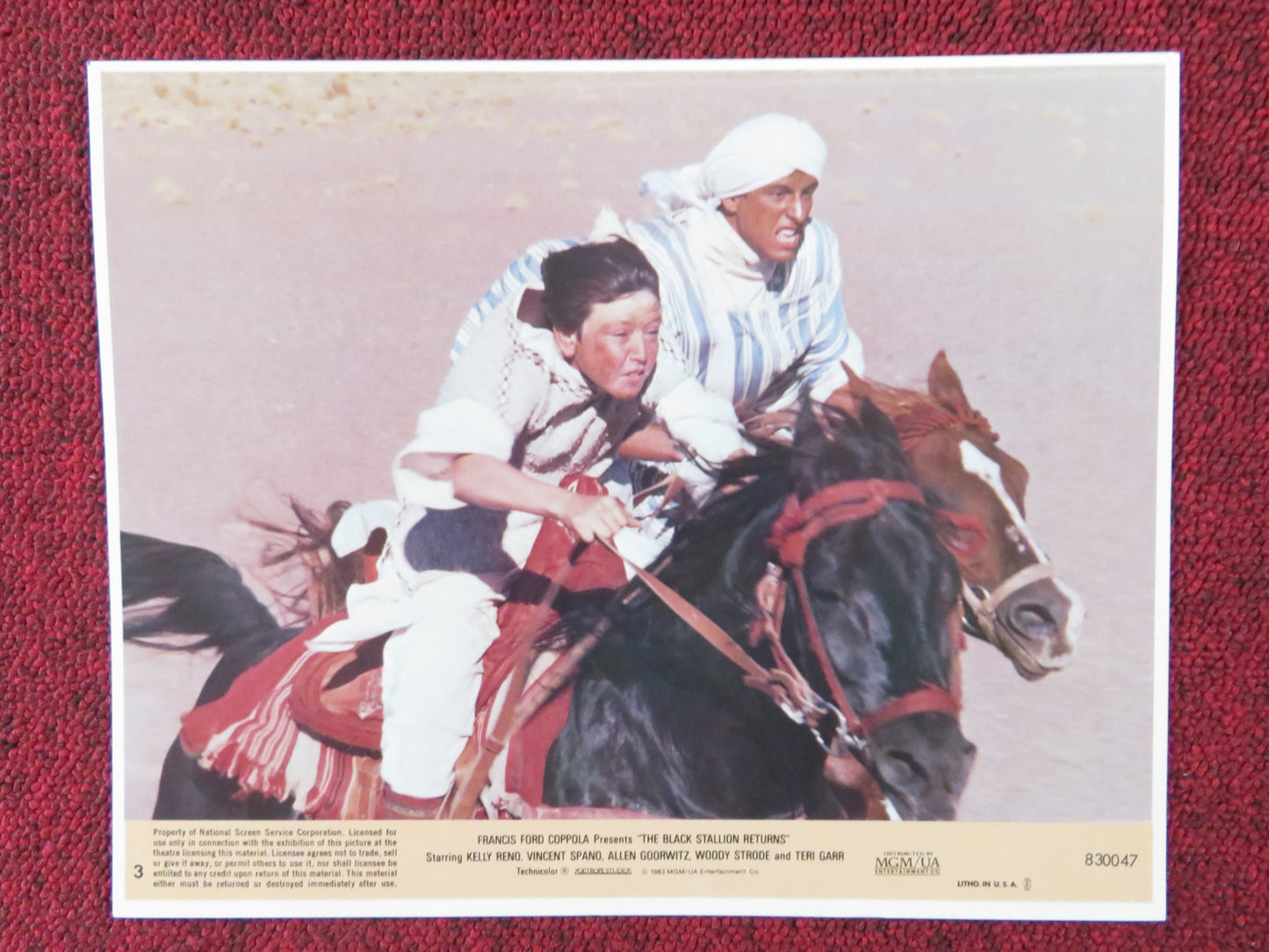 THE BLACK STALLION RETURNS -  3 LOBBY CARD KELLY RENO VINCENT SPANO 1983