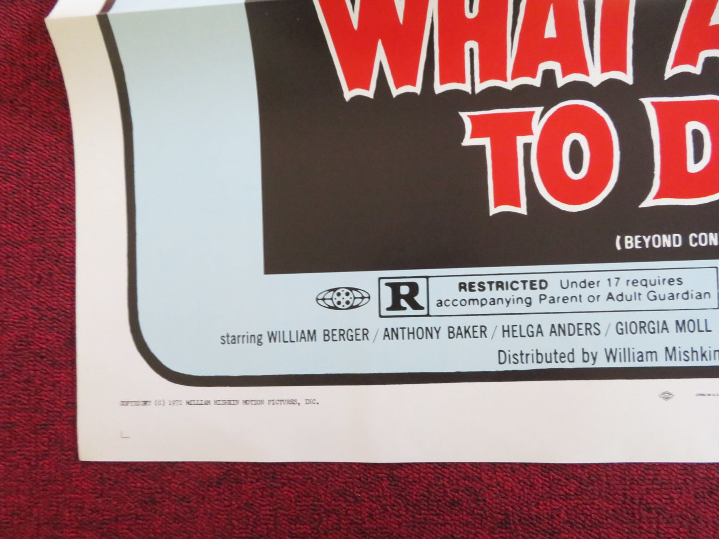 WHAT A WAY TO DIE US TRI FOLDED ONE SHEET ROLLED POSTER WILLIAM BEGER R1972