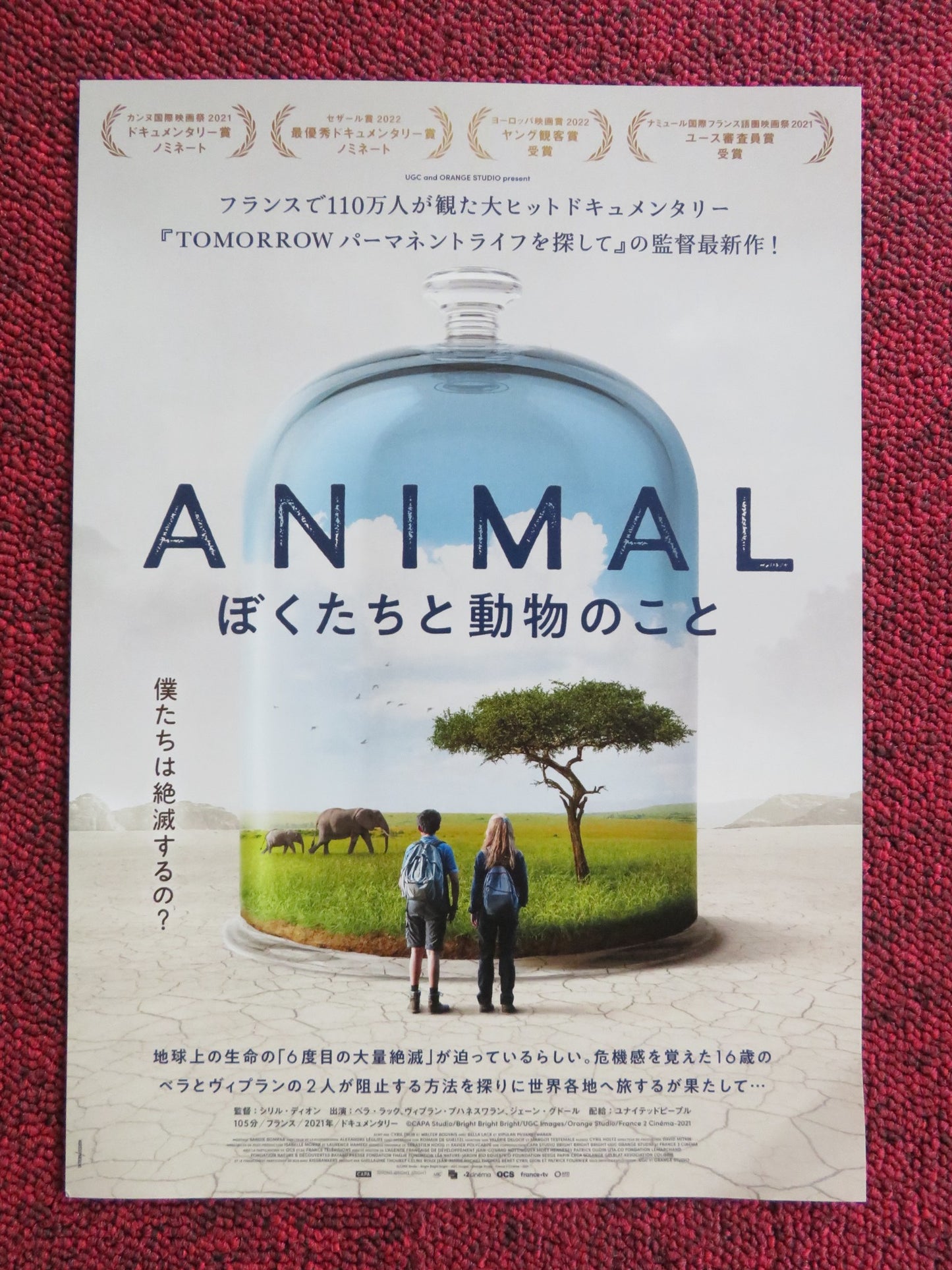 ANIMAL JAPANESE CHIRASHI (B5) POSTER BELLA LACK VIPULAN PUVANESWARAN 2021