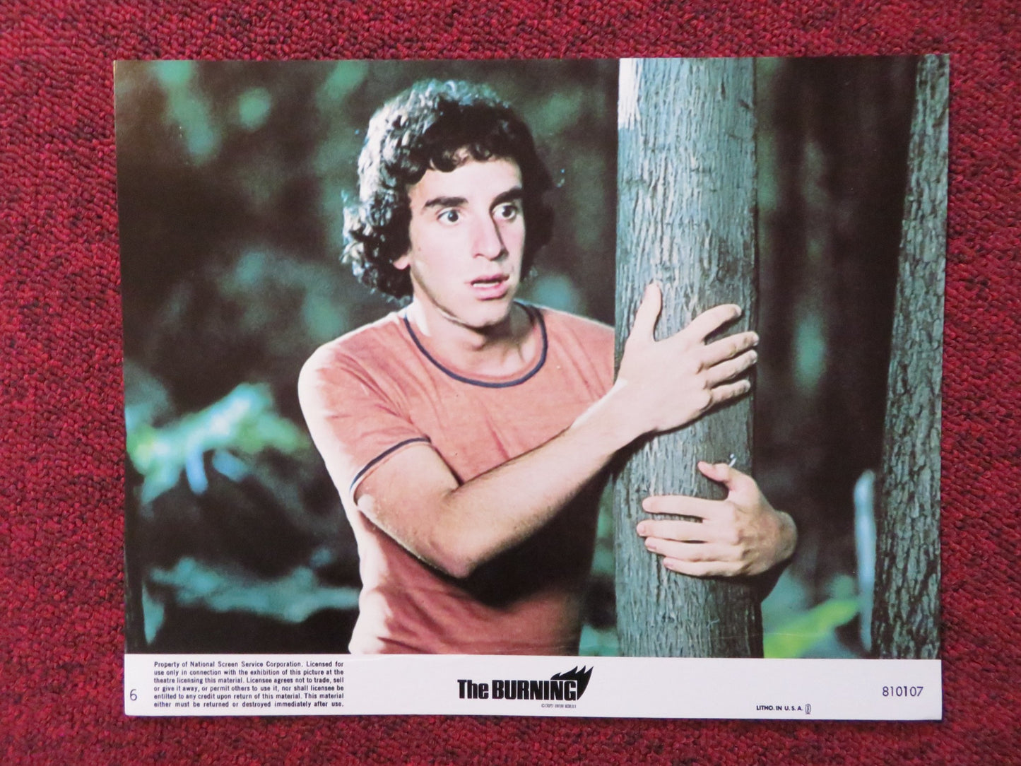 THE BURNING - 6 LOBBY CARD BRIAN  MATTHEWS  LEAH AYRES