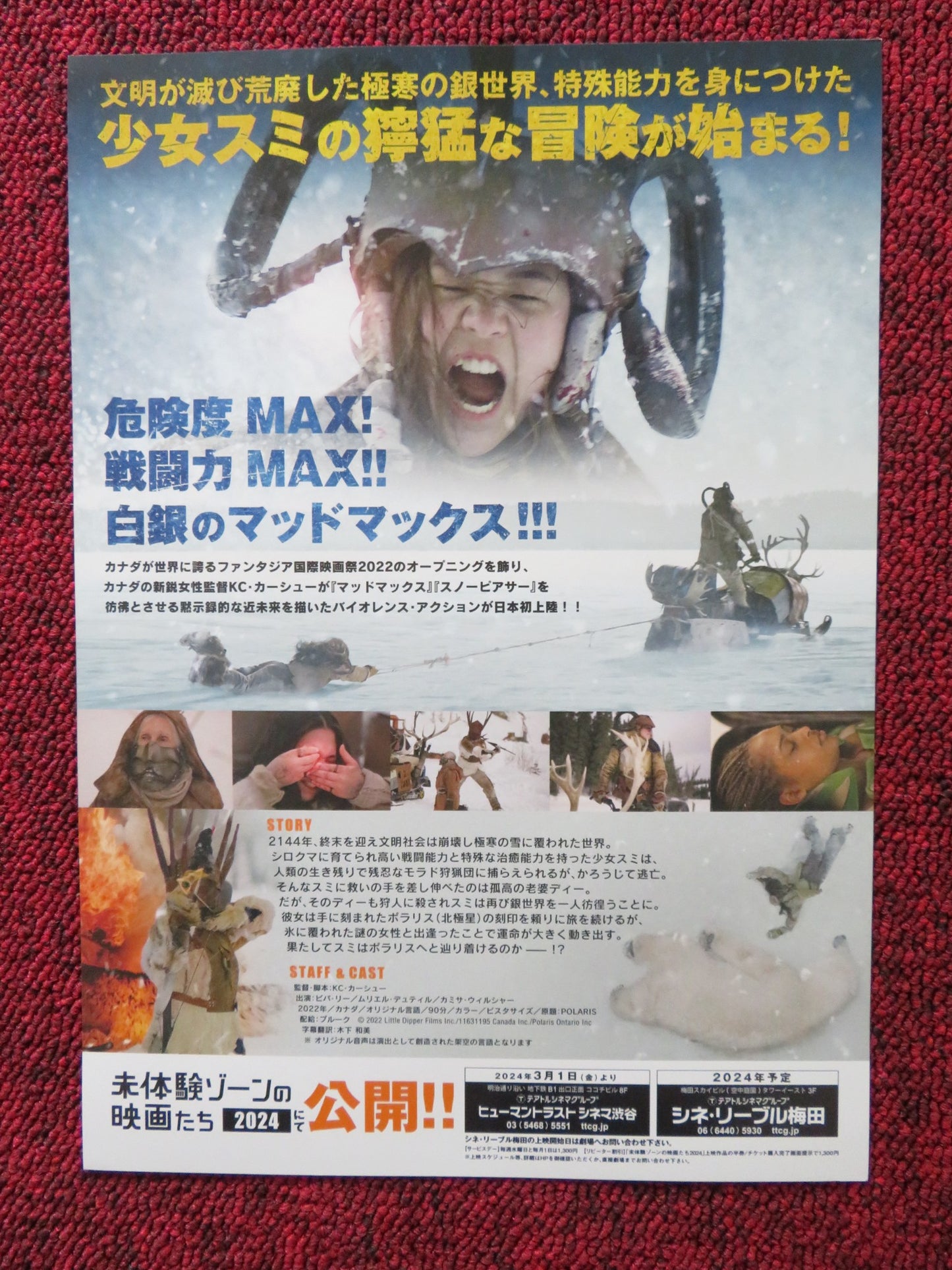 POLARIS JAPANESE CHIRASHI (B5) POSTER VIVA LEE MURIEL DUTIL 2022