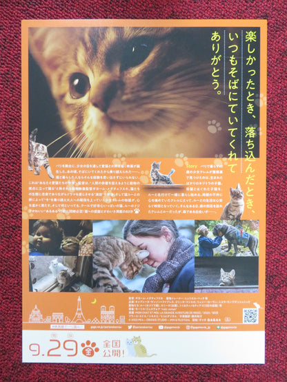 A CAT'S LIFE JAPANESE CHIRASHI (B5) POSTER CAPUCINE SAINSON-FABRESSE 2023