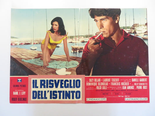 IL RISVEGLIO DELL'ISTINTO - H ITALIAN FOTOBUSTA POSTER SUY DELAIR TERZIEFF 1960