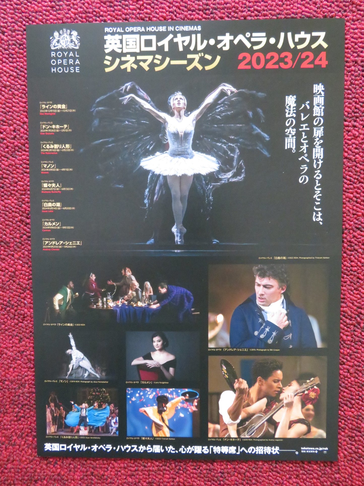 SATOSHI NAKAMURA JAPANESE CHIRASHI (B5) POSTER ANNA ROSE O'SULLIVAN 2024