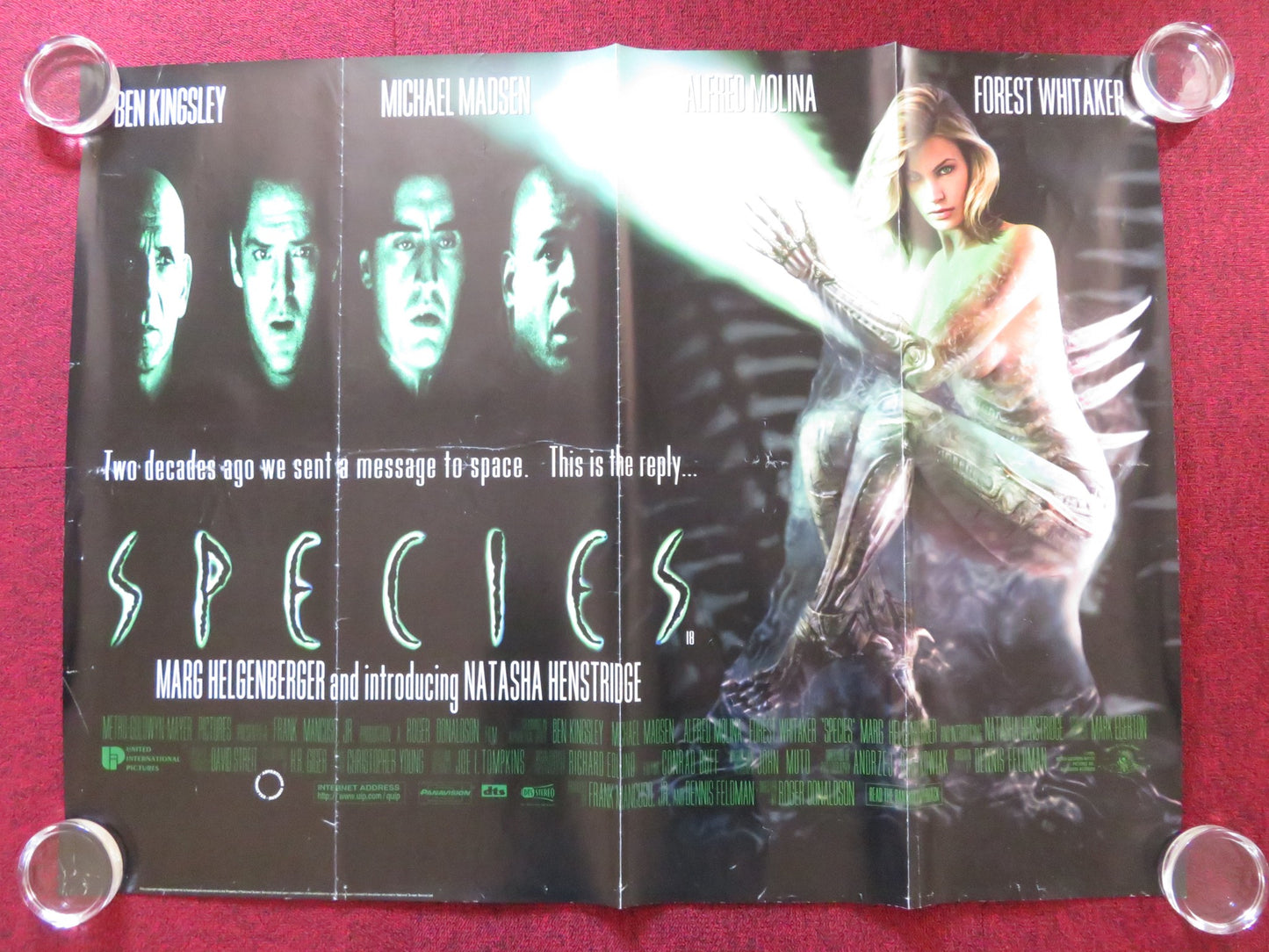 SPECIES - A UK QUAD ROLLED POSTER BEN KINGSLEY MICHAEL MADSEN 1995