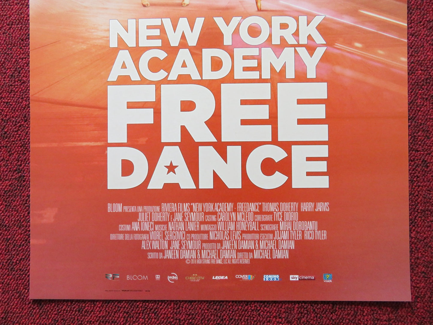 NEW YORK ACADEMY FREE DANCE ITALIAN LOCANDINA POSTER JANE SEYMOUR DOHERTY 2016