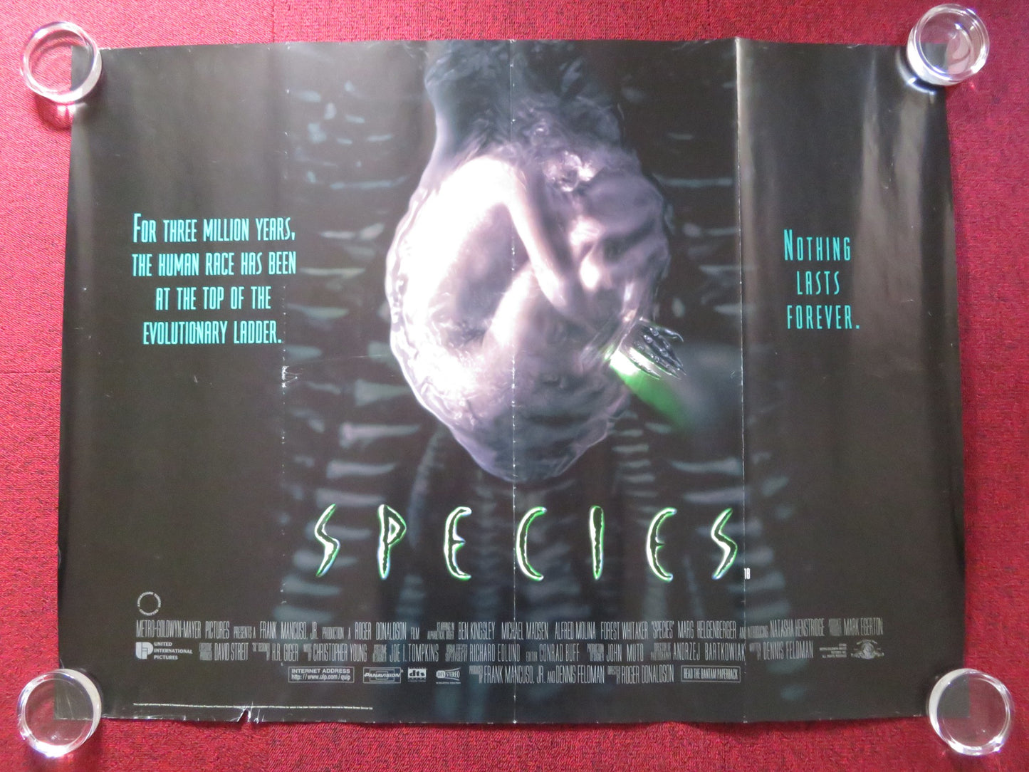 SPECIES - B UK QUAD ROLLED POSTER BEN KINGSLEY MICHAEL MADSEN 1995