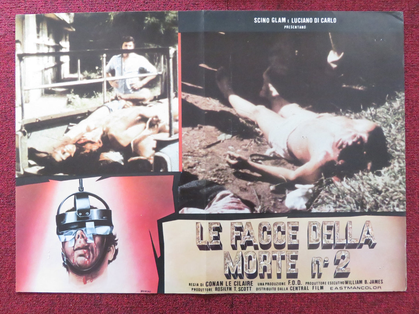 FACES OF DEATH II- C ITALIAN FOTOBUSTA POSTER MICHAEL CARR JAMES BRADY 1981